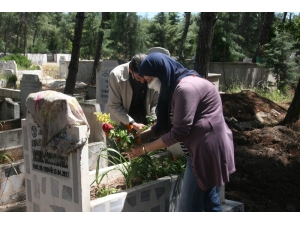 Yaşlısı Genci Gülünü Alarak Mezarlığa Annesine Koştu
