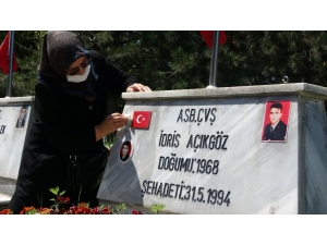 Herkes Annesine, O Evladına Koştu