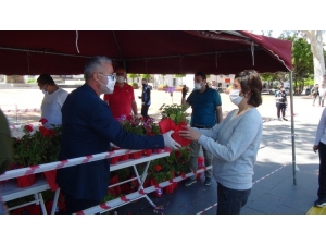 Annelere 10 Bin Adet Saksı Çiçeği