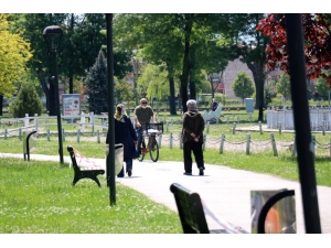 Kısıtlama Gününde Boş Cadde Ve Sokaklar Onların Oldu