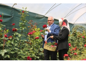 Erdemli’de Annelere Sepet Dolusu Gül