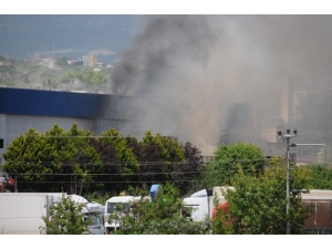Mersin’de Narenciye Paketleme Fabrikasında Yangın