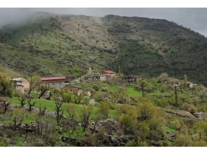 Kozluk’ta Bir Mezra Karantinaya Alındı