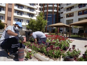 Sosyal Yaşam Kampüsündeki Anneler İçin Bahçeye Çiçek