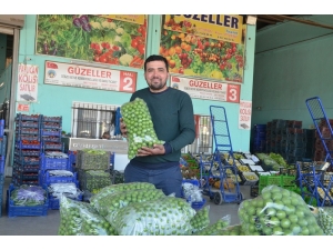 Turgutlu’da Erik Sezonu Hareketli Başladı