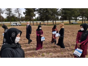 Tarlada Çalışan Anneler Unutulmadı