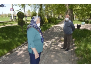 65 Yaş Üstü Park Ve Bahçelere Akın Etti