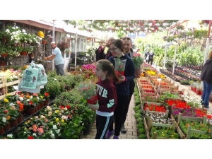 Korona Virüs Nedeniyle Bu Yıl Annelere Saksı Çiçekleri Hediye Edildi