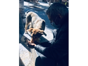 Belediye Çalışanından Duyarlı Davranış