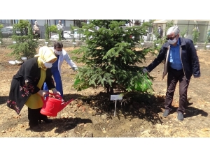 Sancaktepe’de 400 Sağlık Çalışanı Annenin Adına Sahra Hastanesi’ne Fidan Dikildi