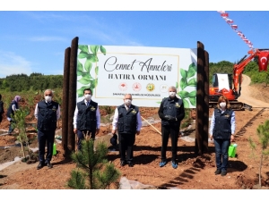 Türkiye’de 100 Yaşını Aşmış Anneler İçin Hatıra Ormanı Oluşturuldu