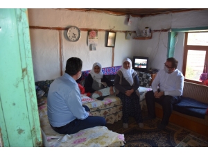 Nallıhan’da Şehit Anneleri Ve Asırlık Çınarlar Anneler Gününde Unutulmadı