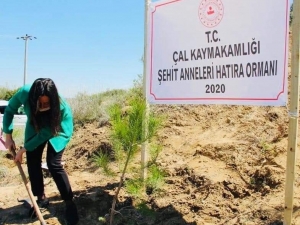 Çal’da Şehit Anneleri İçin Hatıra Ormanı Oluşturuldu