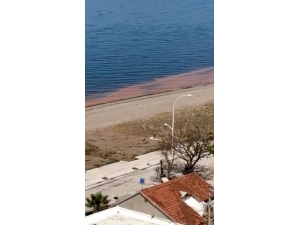 Kurşunlu’da Deniz Turuncuya Döndü