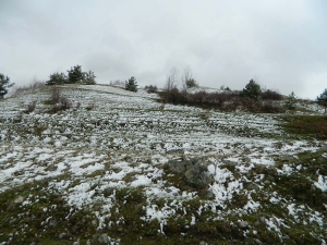 Kar Posof’u Terk Etmiyor
