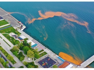 Marmara Denizi Yine Turuncuya Büründü