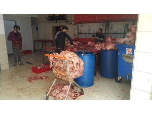 Sağlığa Zararlı 1,5 Ton Sakatat İmha Edildi