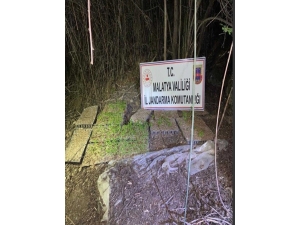 Kamu Arazisine Hint Keneviri Ektiler