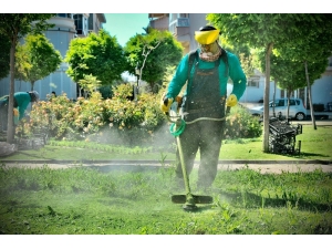 Didim’de Parklarda Temizlik Çalışmaları Sürüyor