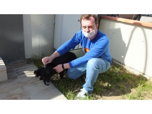 Burhaniye’de Köpeklere Aşı