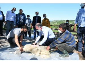 Başkan Taban Hayvan Yetiştiricileri İle Bir Araya Geldi