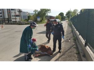 Yolda Yatarken Bulunan Yaşlı Adam Hastaneye Kaldırıldı