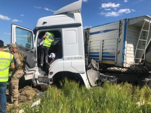 Tır, Hayvan Yüklü Kamyonete Çaptı: 1 Ölü, 3 Yaralı