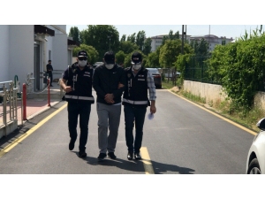 Çıkar Amaçlı Suç Örgütünün Son Üyesi De Yakalandı