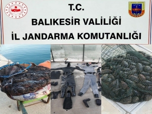 Jandarmadan Kaçak Deniz Patlıcanı Operasyonu