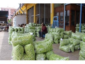 Aydın’da Erik Üreticisine Tat Vermedi