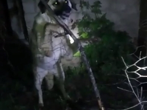 Yüksekova’da Tellere Takılan Köpeği İtfaiye Ekipleri Kurtardı