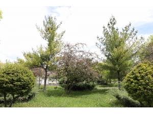 Sincan’da Parklar Ve Sokaklar 20 Yaş Altı İçin Hazır