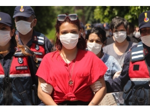 ’Mavi Kelebekler’ Çetesi Gözaltına Alındı