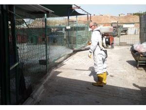 Turgutlu Belediyesi Can Dostları Unutmadı