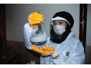 Bm Onay Verdi, Üretime Geçtiler