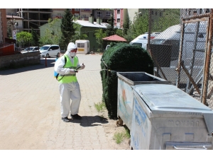 Uludere Belediyesi İlaçlama Çalışmalarına Başladı