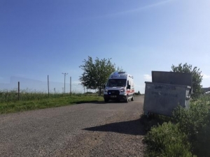 İnekler Tarlaya Girdi, Taşlı Sopalı Kavga Çıktı