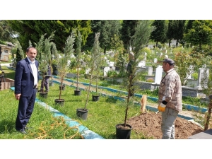 Kaynaşlı’da Mezarlıkta Düzenleme Yapılıyor