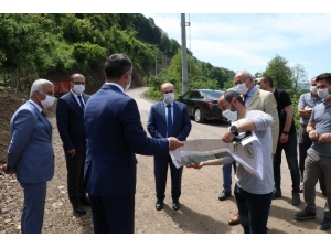 Asfalt Çalışmasında Çiçek Detayı