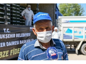 Başkentli Üreticiye Fide Desteği Başladı