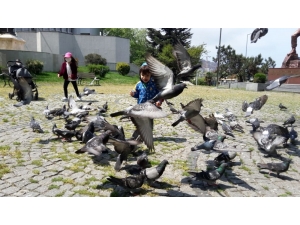 Zonguldak’ta Minikler Parklara Akın Etti