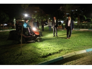 Haliliye Parklarında Yeşillendirme Çalışmaları