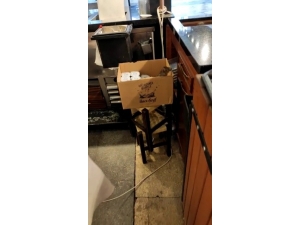 Kentin Ünlü Tatlıcısındaki Fare, Sosyal Medyayı Karıştırdı