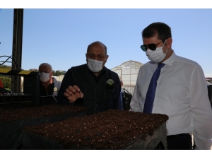 Her Sivaslı İçin Bir Fidan Dikilecek