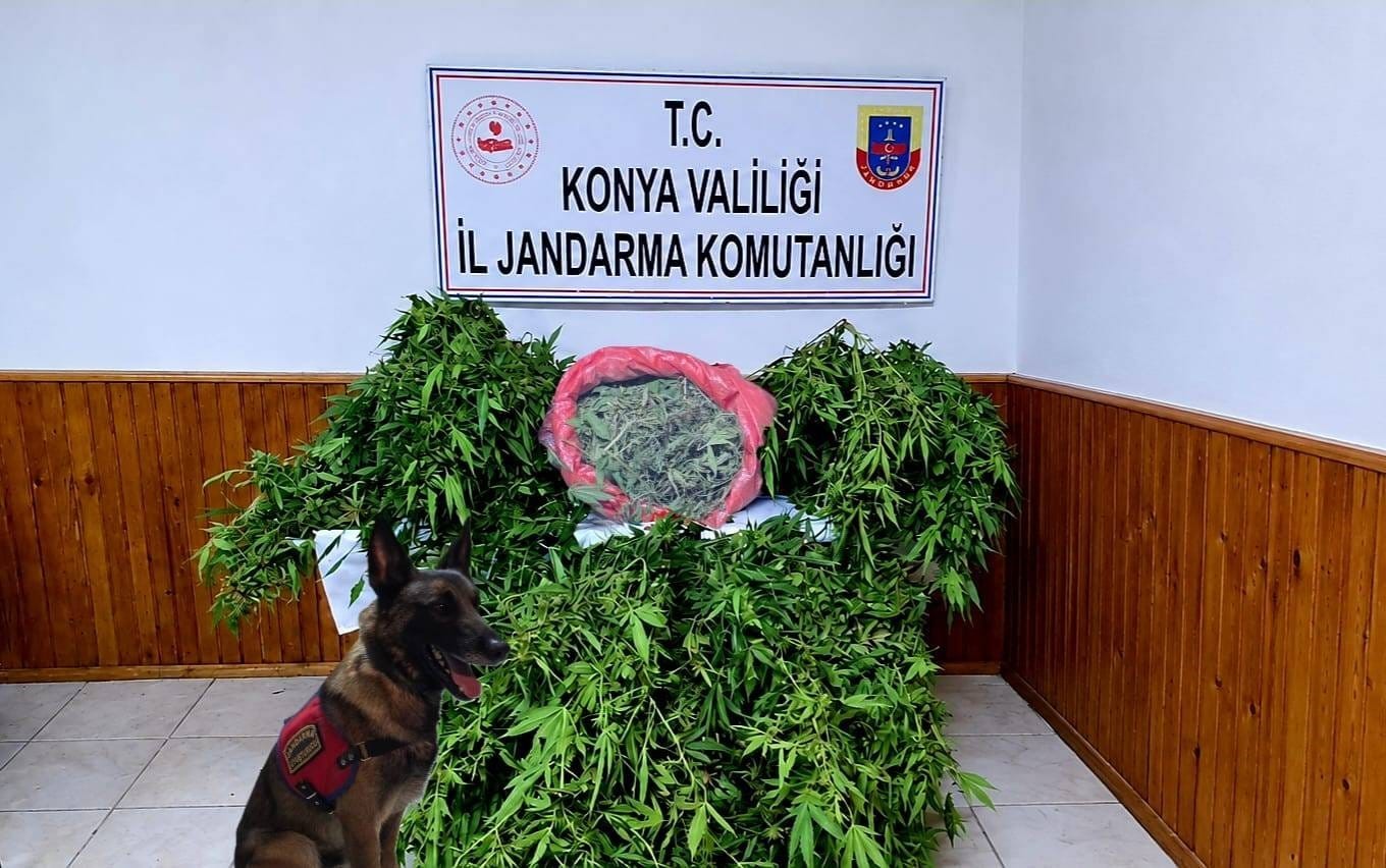 depo-gorunumlu-alana-kenevir-eken-supheli-yakalandi
