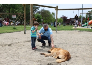 Sakarya’da Park Ve Sokaklar Çocukları Özlemiş