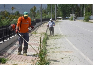 Yabanı Otlar Temizlendi