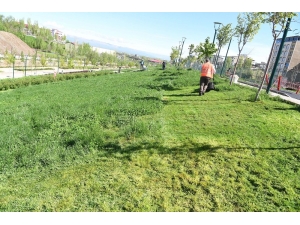 Parklarda Bakım Onarım Çalışması
