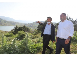Başkan Yılmaz, Yaylalarda İncelemelerde Bulundu
