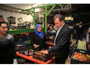 Seçer: “Üreticilere Desteğimize Hiç Ara Vermeden Devam Edeceğiz”